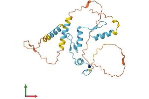 AlphaFold protein structure predicition of Mouse Recombinant Klf9 Protein, UniprotID O35739
