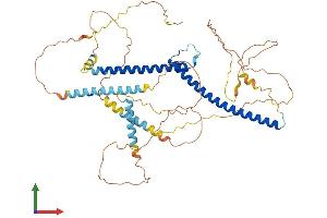 AlphaFold protein structure predicition of Human Recombinant MITF Protein, UniprotID O75030