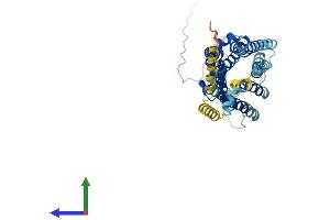 AlphaFold protein structure predicition of Mouse Recombinant Oprm1 Protein, UniprotID P42866