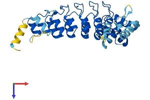 AlphaFold protein structure predicition of Mouse Recombinant Asb8 Protein, UniprotID Q91ZT9
