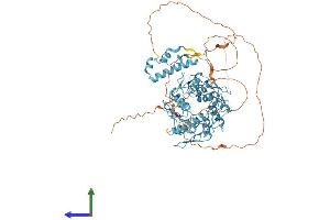 AlphaFold protein structure predicition of Human Recombinant ZNF74 Protein, UniprotID Q16587