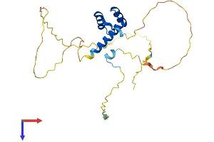 AlphaFold protein structure predicition of Mouse Recombinant Isx Protein, UniprotID A1A546