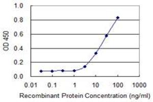 Detection limit for recombinant GST tagged GNAQ is 1 ng/ml as a capture antibody. (GNAQ anticorps  (AA 101-200))