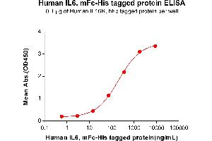 Interleukin 6 (IL6) (AA 30-212) protein (mFc-His Tag)