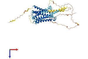 Serotonin Receptor 6 (HTR6) (AA 1-440) protein (His tag)