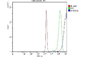 Flow Cytometry analysis of C6 cells using anti-DNMT3B antibody (ABIN7601041).