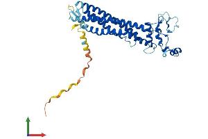 AlphaFold protein structure predicition of Mouse Recombinant Rom1 Protein, UniprotID P32958