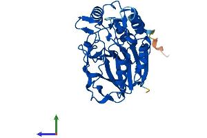AlphaFold protein structure predicition of Mouse Recombinant Mpped2 Protein, UniprotID Q9CZJ0