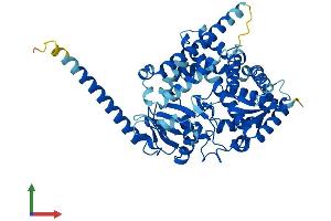 AlphaFold protein structure predicition of Mouse Recombinant Cyp4x1 Protein, UniprotID Q6A152