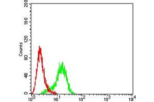 Flow cytometric analysis of Hela cells using ACTR3 mouse mAb (green) and negative control (red). (ACTR3 anticorps  (AA 287-418))
