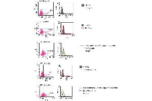 Flow cytometric analysis of CRT on the cell surface  3.