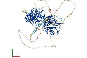 AlphaFold protein structure predicition of Mouse Recombinant Eml4 Protein, UniprotID Q3UMY5