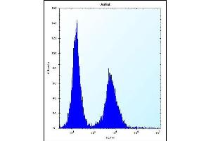 DNAJC9 Antibody (N-term) (ABIN656862 and ABIN2846067) flow cytometric analysis of Jurkat cells (right histogram) compared to a negative control cell (left histogram). (DNAJC9 anticorps  (N-Term))