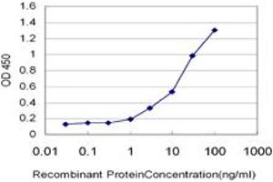 Detection limit for recombinant GST tagged TK1 is approximately 1ng/ml as a capture antibody. (TK1 anticorps  (AA 1-234))