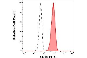 Separation of human neutrophil granulocytes (red-filled) from 10 negative lymphocytes (black-dashed) in flow cytometry analysis (surface staining) of human peripheral whole blood stained using anti-human CD10 (MEM-78) FITC antibody (20 μL reagent / 100 μL of peripheral whole blood).