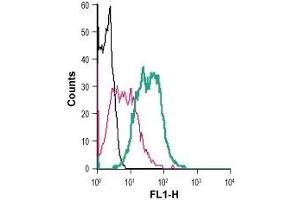 Cell surface detection of P2RY2 in live intact mouse J774 macrophage cells: (black line) Cells.
