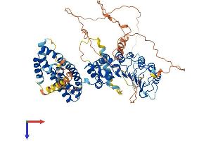 AlphaFold protein structure predicition of Human Recombinant FBXL5 Protein, UniprotID Q9UKA1