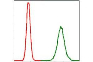 Flow Cytometry (FACS) image for anti-Protein Phosphatase 2A Activator, Regulatory Subunit 4 (PPP2R4) antibody (ABIN1108715)