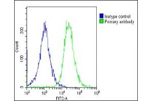 Overlay histogram showing HepG2 cells stained with (ABIN6244292 and ABIN6578679)(green line).