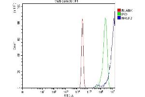 Flow Cytometry analysis of U20S cells using anti-NRBF2 antibody (ABIN7599218).