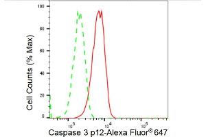 Flow cytometric analysis of Caspase 3 p12 expression in C2C12 cells using Caspase 3 p12 antibody (ABIN7797896), 1:2,000). (Recombinant Caspase 3 p12 anticorps)