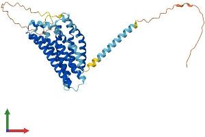 AlphaFold protein structure predicition of Human Recombinant GPR132 Protein, UniprotID Q9UNW8