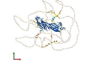 AlphaFold protein structure predicition of Mouse Recombinant Sgip1 Protein, UniprotID Q8VD37