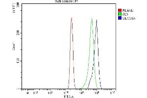Flow Cytometry analysis of HL-60 cells using anti-SEC31A antibody (ABIN7599630).