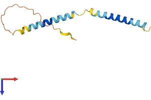 AlphaFold protein structure predicition of Mouse Recombinant Tceal9 Protein, UniprotID Q9DD24