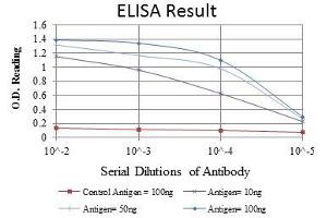 Red: Control Antigen (100 ng), Purple: Antigen (10 ng), Green: Antigen (50 ng), Blue: Antigen (100 ng),
