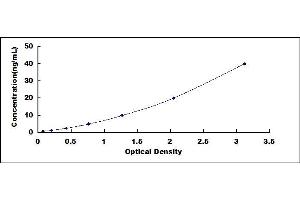 Typical standard curve (CHSY1 Kit ELISA)