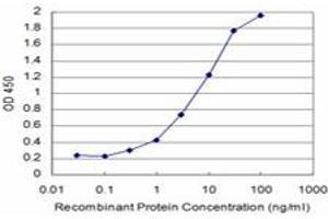 Detection limit for recombinant GST tagged SRPK1 is approximately 0.