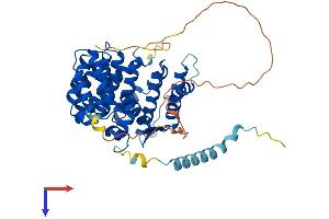 AlphaFold protein structure predicition of Mouse Recombinant Ifrd1 Protein, UniprotID P19182