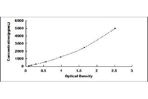 Tumor Protein P53 Inducible Protein 3 (TP53I3) ELISA Kit