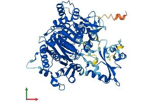 AlphaFold protein structure predicition of Mouse Recombinant Aacs Protein, UniprotID Q9D2R0
