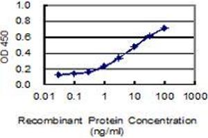 Detection limit for recombinant GST tagged CHL1 is 0.