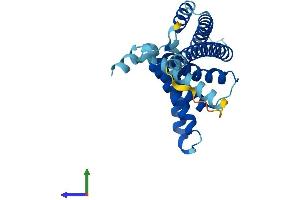 AlphaFold protein structure predicition of Mouse Recombinant Pex11a Protein, UniprotID Q9Z211