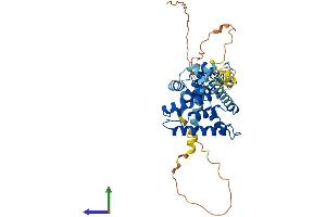AlphaFold protein structure predicition of Human Recombinant NR2E3 Protein, UniprotID Q9Y5X4