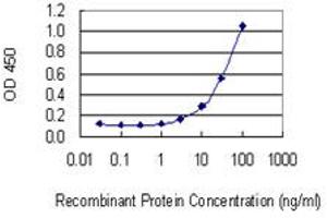 Detection limit for recombinant GST tagged AMACR is 1 ng/ml as a capture antibody.