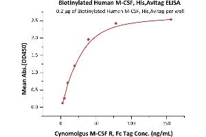Immobilized Biotinylated Human M-CSF, His,Avitag (ABIN6386447,ABIN6388276) at 2 μg/mL (100 μL/well) on streptavidin precoated (0. (M-CSF/CSF1 Protein (AA 33-255) (His tag,AVI tag,Biotin))