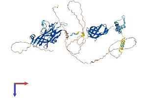 AlphaFold protein structure predicition of Mouse Recombinant Ebf3 Protein, UniprotID O08791