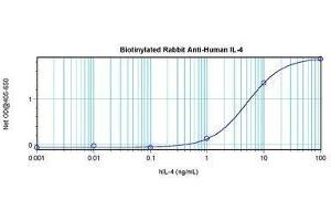 Image no. 1 for anti-Interleukin 4 (IL4) antibody (Biotin) (ABIN464882) (IL-4 anticorps  (Biotin))
