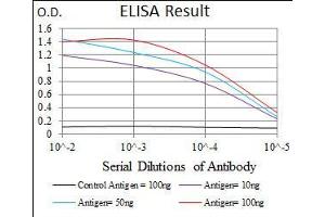 Black line: Control Antigen (100 ng), Purple line: Antigen(10 ng), Blue line: Antigen (50 ng), Red line: Antigen (100 ng), (PLAGL1 anticorps  (AA 118-222))