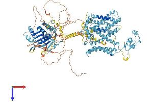 AlphaFold protein structure predicition of Mouse Recombinant Slc4a7 Protein, UniprotID Q8BTY2