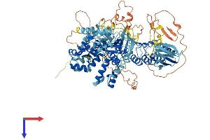 AlphaFold protein structure predicition of Mouse Recombinant Nlrp1b Protein, UniprotID Q2LKV2