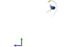 AlphaFold protein structure predicition of Mouse Recombinant Syce2 Protein, UniprotID Q505B8