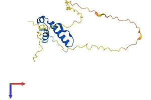 AlphaFold protein structure predicition of Human Recombinant SSX7 Protein, UniprotID Q7RTT5
