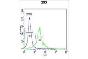 SPHK1 Antibody (C-term ) (ABIN652302 and ABIN2837969) flow cytometric analysis of 293 cells (right histogram) compared to a negative control cell (left histogram). (SPHK1 anticorps  (C-Term))