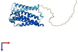 AlphaFold protein structure predicition of Mouse Recombinant Elovl4 Protein, UniprotID Q9EQC4