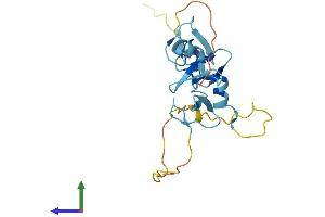 AlphaFold protein structure predicition of Mouse Recombinant Csrp3 Protein, UniprotID P50462